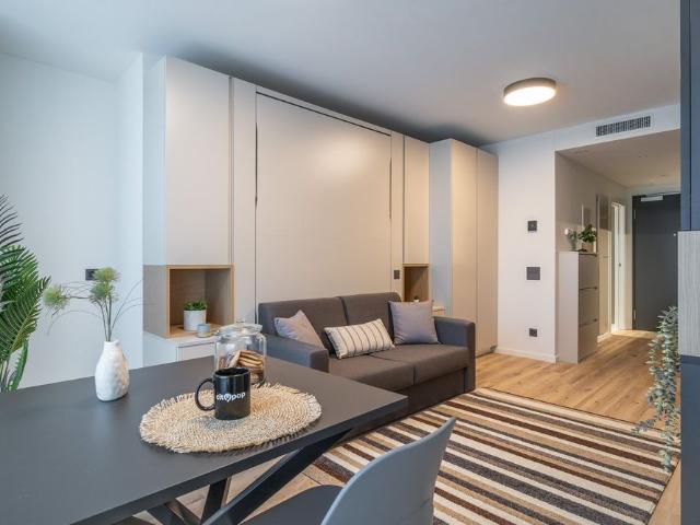 Apartment mieten in Grossbasel, Basel