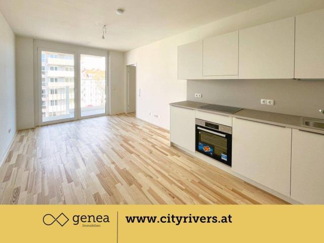 Apartment mieten in Katastralgemeinde Gries, Graz