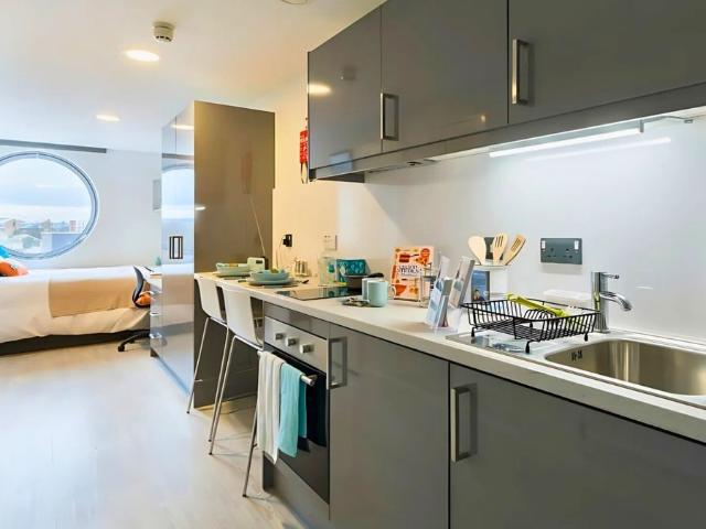 Studio for rent in Plasnewydd, Falcon Lodge