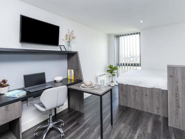 Studio for rent in Battle Field, Tyne And Wear
