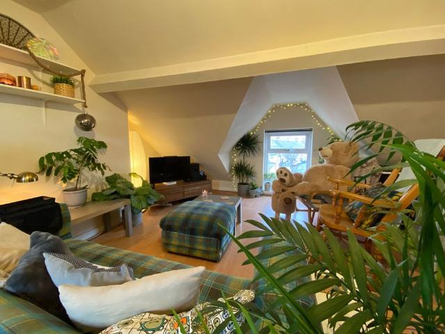 Apartment for rent in Plasnewydd, Falcon Lodge