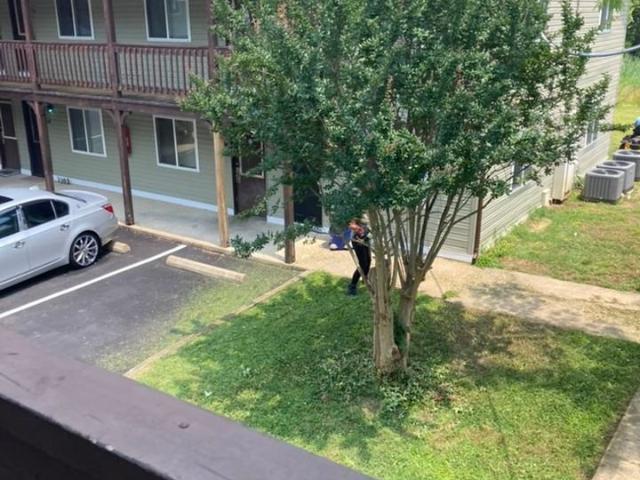 Apartment for rent in Newport News