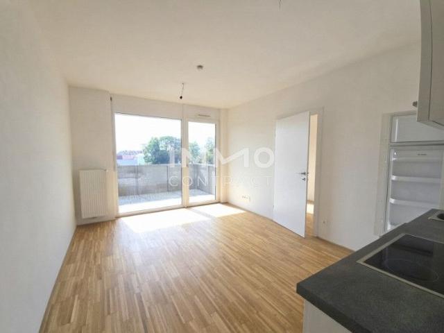 Apartment mieten in Katastralgemeinde Gries, Graz