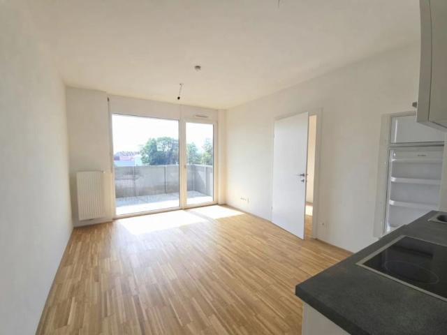 Apartment mieten in Katastralgemeinde Gries, Graz
