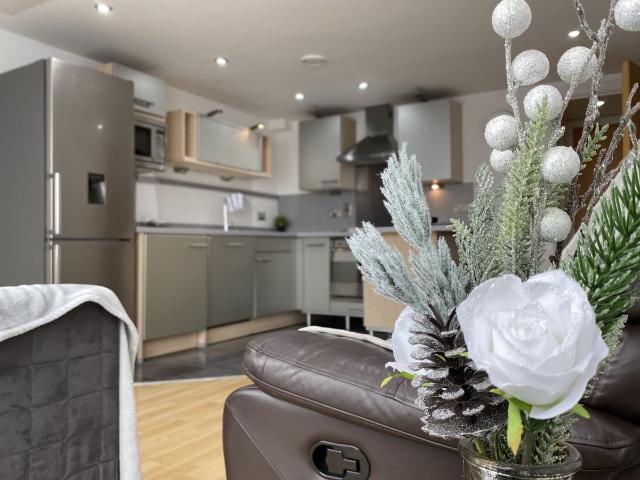 Apartment for rent in Newtown, Falcon Lodge