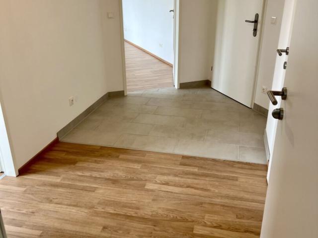 Wohnung mieten in Wiener Neustadt, Niederösterreich