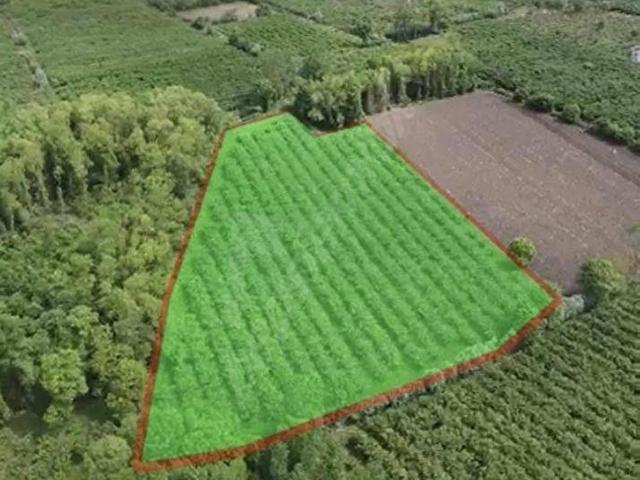 Çarşamba, Samsun içerisinde satılık Arsa