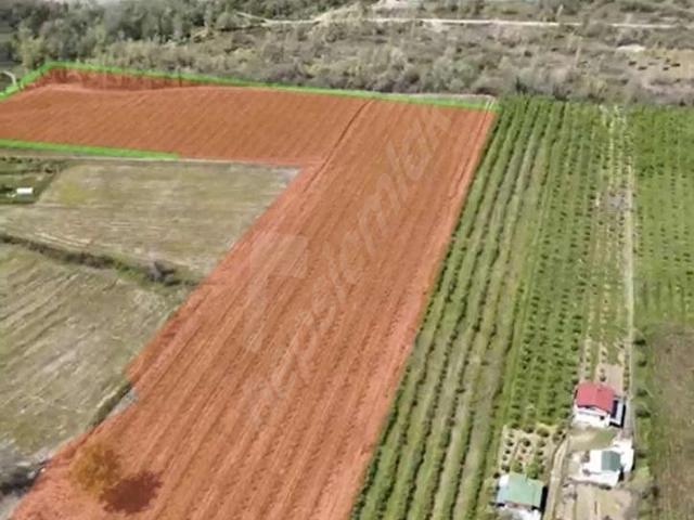 Çarşamba, Samsun içerisinde satılık mülk