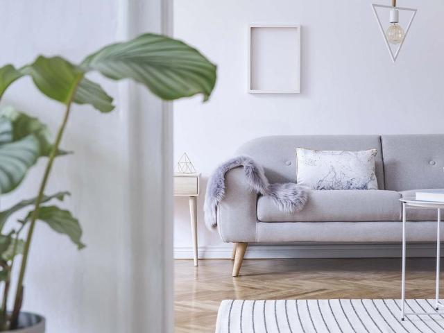 Apartment for rent in Saint Louis, Missouri