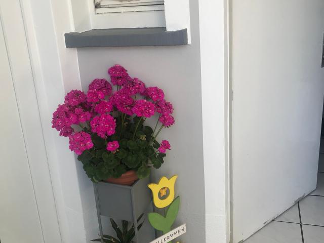 Apartment mieten in Innenstadt, Pforzheim