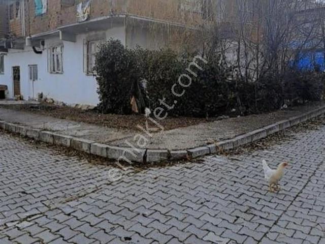 Yenimescit, Havza içerisinde satılık Bina