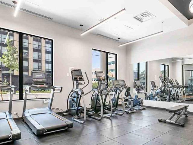Apartment for rent in Kitchener, Ontario