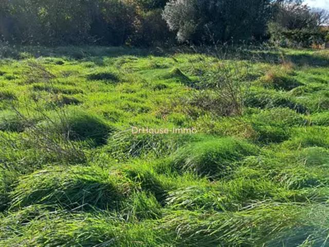 Terrain vente à Lesparre-Médoc, Civrac-en-médoc