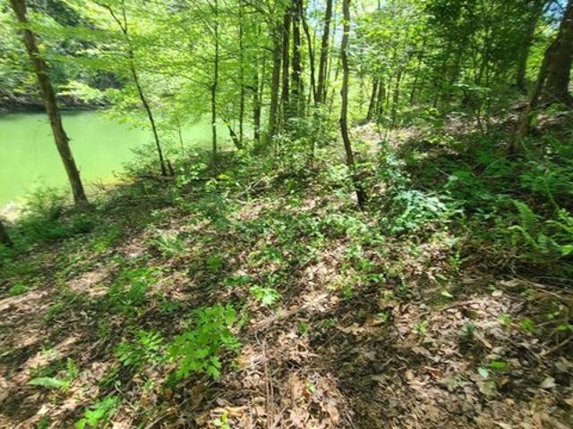 Land for sale in Tennessee