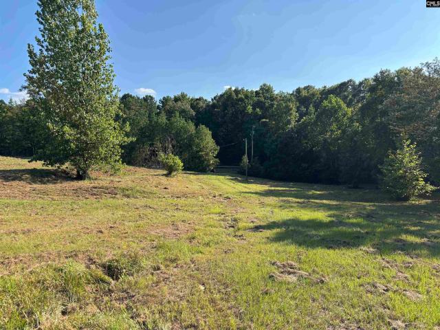 Land for sale in Prosperity, South Carolina