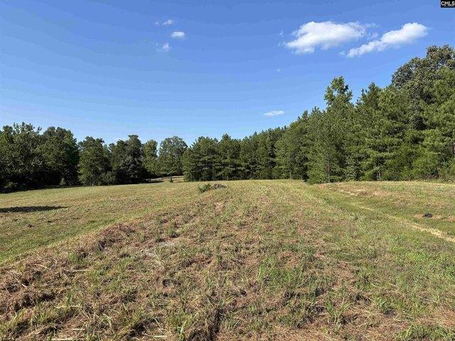Land for sale in Prosperity, South Carolina