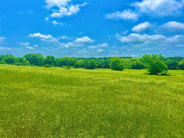 Land for sale in Parker, Texas