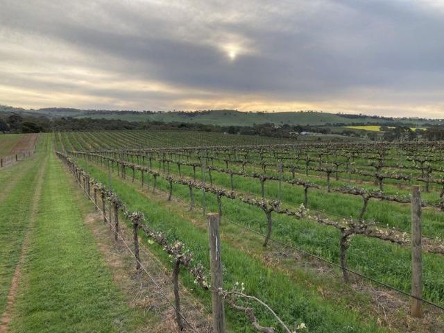 Cottage for sale in Mintaro, South Australia