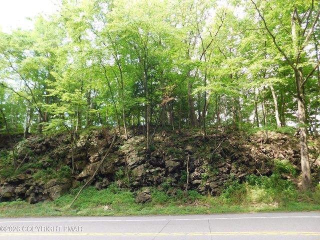 Land for sale in Tamaqua, Schuylkill County