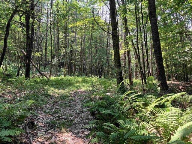 Land for sale in New Hampshire