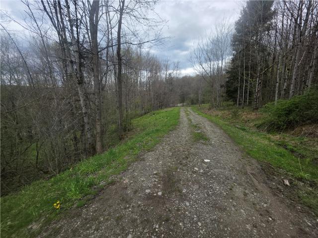 Land for sale in South Otselic, New York