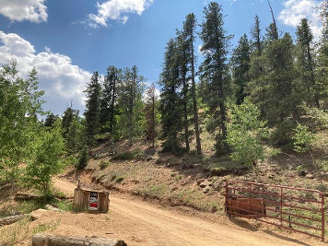 House for sale in Bailey, Colorado
