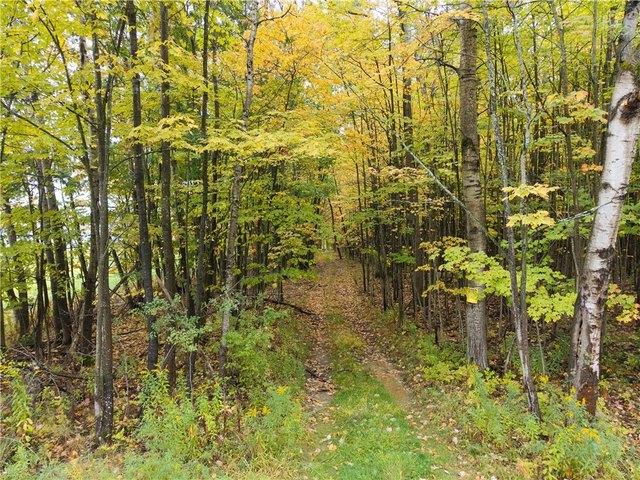 Farm for sale in Hornell, New York