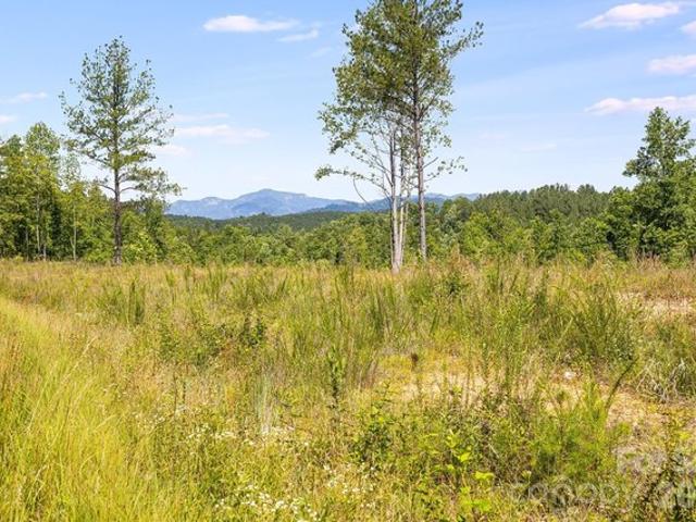 Land for sale in Rutherford, North Carolina
