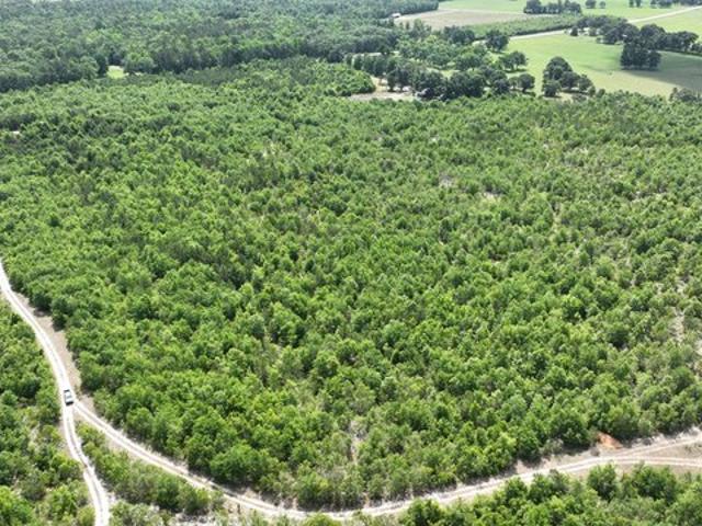 Land for sale in Avera, Georgia