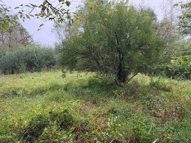 Land for sale in Gandeeville, West Virginia