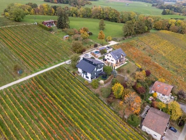 Einfamilienhaus kaufen in Clarmont, Waadt