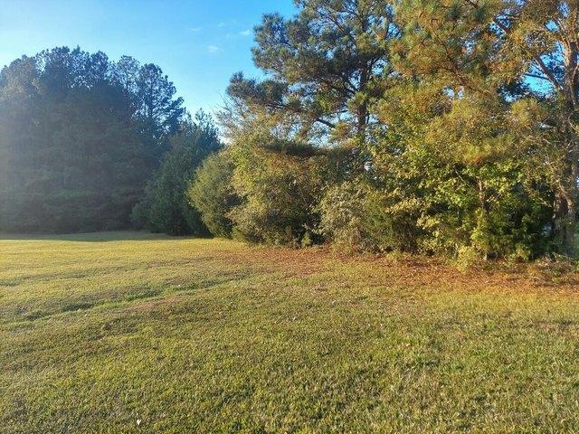 Land for sale in Appling, Georgia