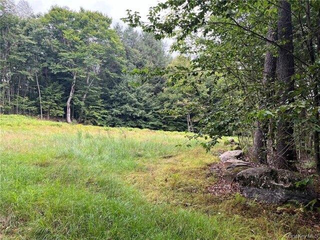 Land for sale in Claryville, New York