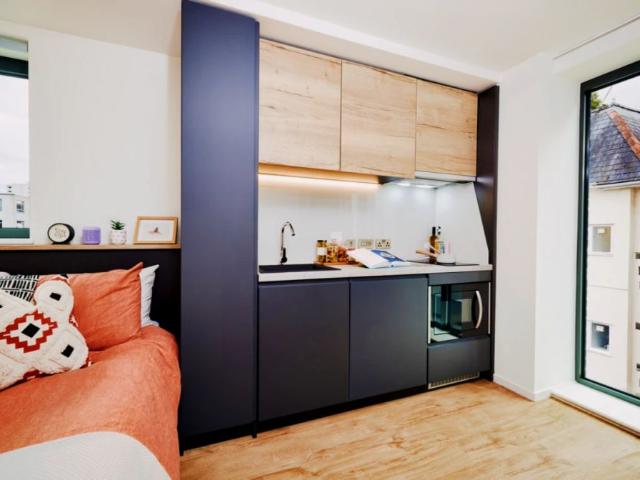 Studio for rent in Civic Centre, Falcon Lodge