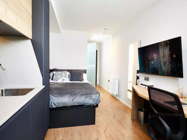 Studio for rent in The Meadows, Haddon