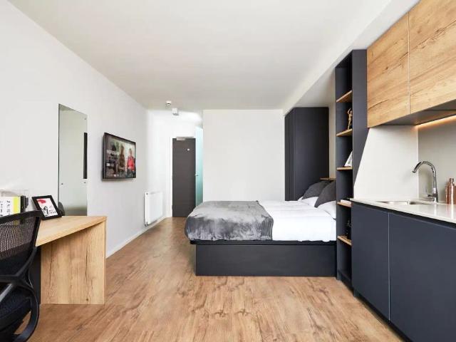 Studio for rent in The Meadows, Haddon