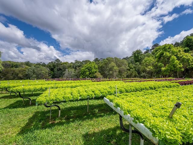 House for sale in Pomona, Queensland