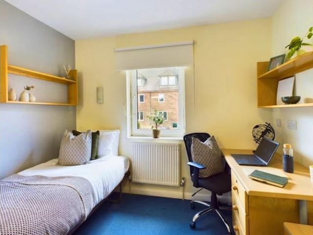 Room for rent in Coldean, Stanmer