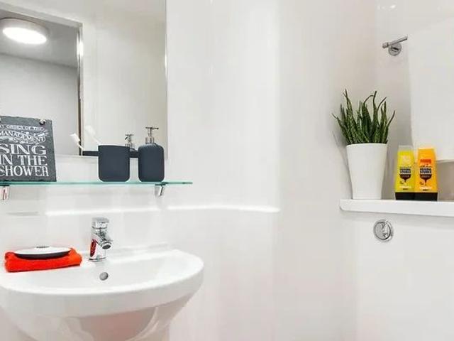 Studio for rent in Plasnewydd, Falcon Lodge