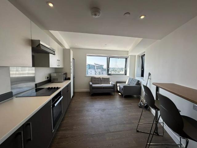 Studio for rent in West Hoe, Mount Wise
