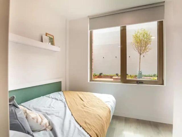 Studio for rent in Round Hill, Brighton