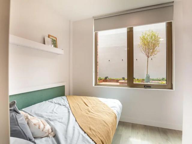 Apartment for rent in Round Hill, Brighton & Hove