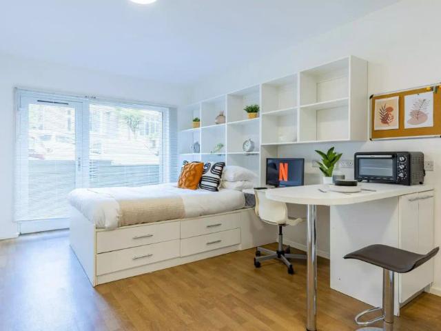 Studio for rent in Lipson Vale, Mount Wise