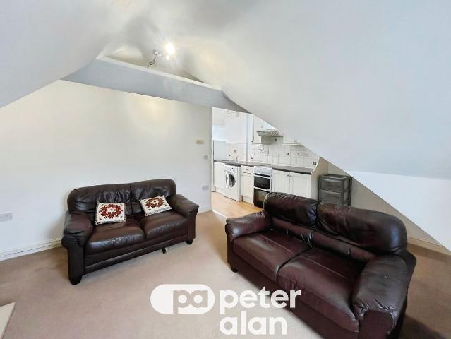 Apartment for rent in Plasnewydd, Falcon Lodge
