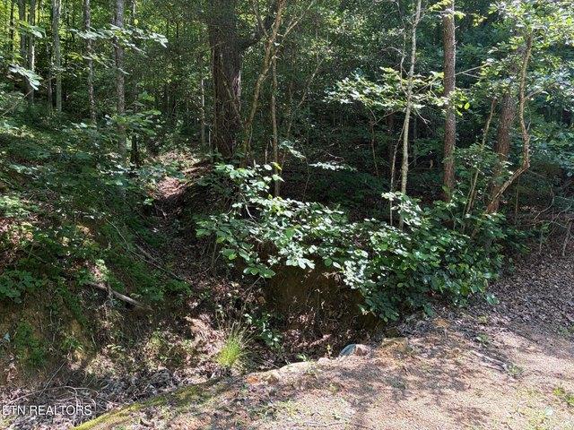 Land for sale in Tennessee