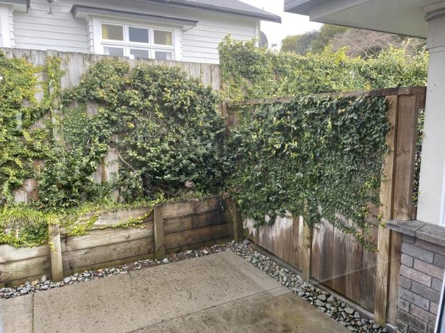 House for rent in Hamilton, Waikato