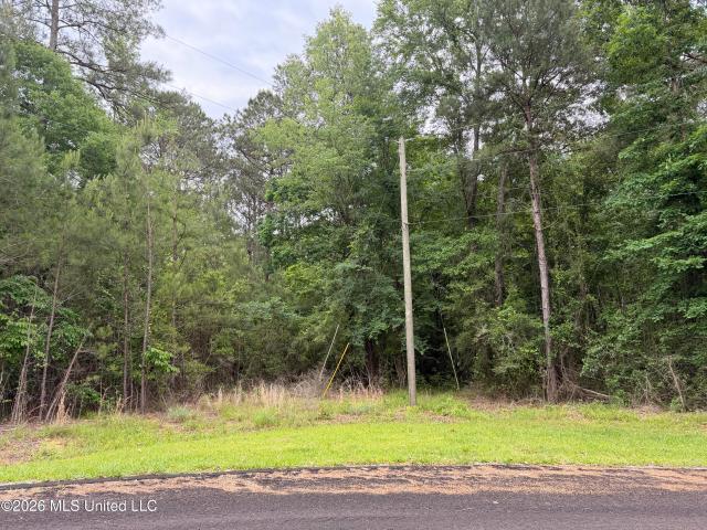 Land for sale in Mccomb, Mississippi