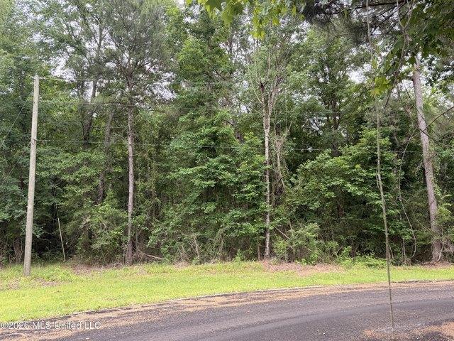 Land for sale in Mccomb, Mississippi