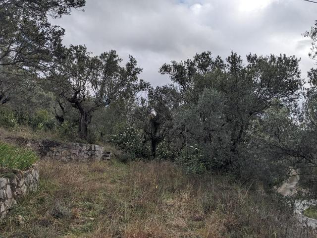 Terrain vente à Arrondissement de Draguignan, Claviers