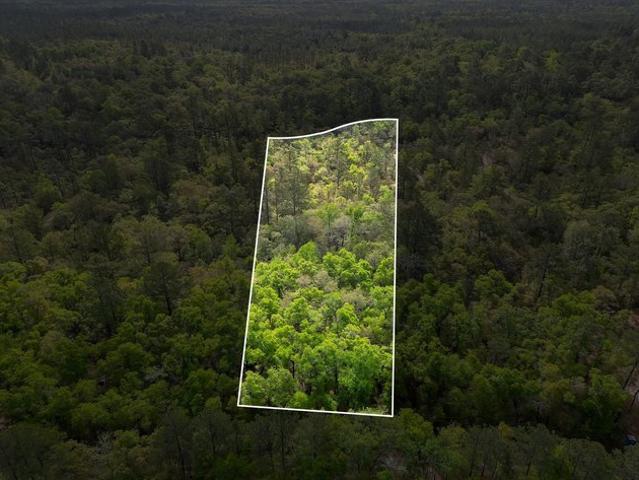 Land for sale in Florida